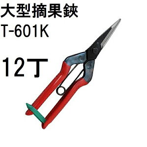 (12���Z�b�g����) �ߐ� ��^�E���� T-601K �`�J�}�T�@(zmA21)