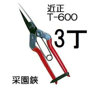 (3{Zbg) (W) ߐ щ T-600 ^E {E|͂ `J}T (䂤pPbg)@(zmA70)