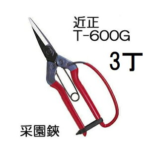 (3Zbg) ߐ ؉ (щ) T-600G K[ht ^E `J}T (䂤pPbg)@(zmA70)