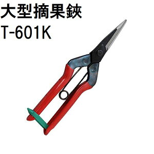 �ߐ� ��^�E���� T-601K �`�J�}�T (�l�R�|�X)�@(zmA21)