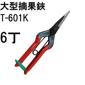 (���p6���Z�b�g) �ߐ� ��^�E���� T-601K �`�J�}�T (���^�[�p�b�Nor����)�@(zmA21)