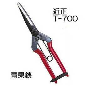 (ブリスターパック) 近正 青果鋏 T-700 チカマサ (ゆうパケット) 在庫限り