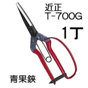 ߐ  K[ht T-700G | {E|͂ `J}T (lR|X)
