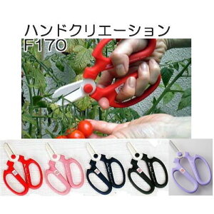 ⌹ nhNG[V F170  | (FI bh sN u[ XO[ x_[) TCY170mm (zmB2)