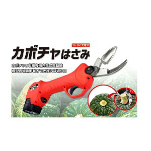 jVKL N-980 J{`͂ 16.8V [d dڂ ɂɂ jjN͂ haya