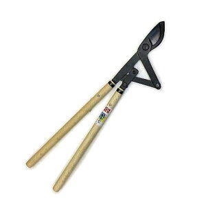 y`̐؂ꖡ IYiz gn @  (S|) No.107 A}؂ v dlBzs