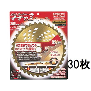 (30Zbg) L{V (\`bv\[) BPS`bv\[ IIJ~ X[p[v 255mm×36P 210449 c`bv\[ m@ ֐n |pi _ _@ 돤Xn@zs