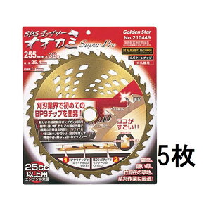 (p5Zbg) L{V (\`bv\[) BPS`bv\[ IIJ~ X[p[v 255mm×36P 210449 c`bv\[ m@ ֐n |pi _ _@ 돤Xn@zs