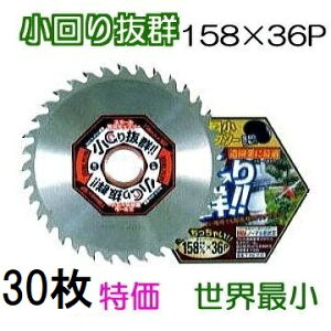 (30Zbg) M̓{ `bv\[蔲Q E ܂肭 158mm×36P Eŏ T-KM2155 ֐m