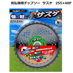@p `bv\[ TXP n 255mm×40P 1 ^iJ}CX^[ zs