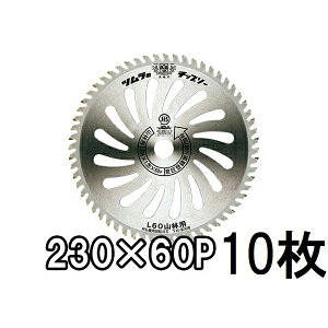 (10Zbg) Ñ| c @p `bv\[ L-60 Rїp 230mm×60P@(zmE4)