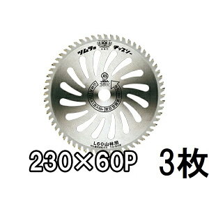 (3Zbg) Ñ| c @p `bv\[ L-60 Rїp 230mm×60P@(zmE4)