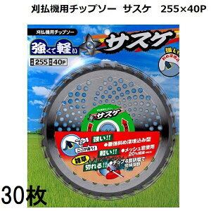 (30Zbg) @p `bv\[ TXP n 255mm×40P ^iJ}CX^[ zs