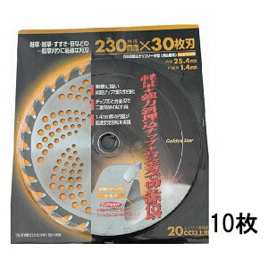 (10Zbg) L{V Ζ`bv\[W^ 230×30P m@ ֐n 돤Xn 210426@zs