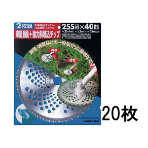 (���p20���Z�b�g) �L���{�V �S�[���f���X�^�[ GS �Ζ������`�b�v�\�[ 255mm×40P 210429 (2���g×10�Z�b�g) �@zs