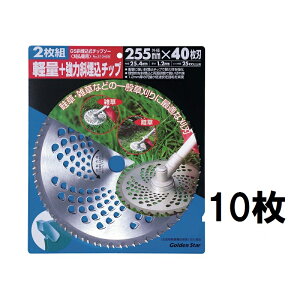 (10���Z�b�g) �L���{�V �S�[���f���X�^�[ GS �Ζ������`�b�v�\�[ 255mm×40P 210429 (2���g×5�Z�b�g) �@zs