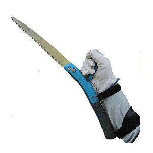 苘 y؋ X|X No.2570 T{e