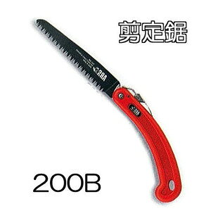 (10Zbg) ARS (AX) ܍苘 苘 ubN200 200B ֐n@(zmA60j