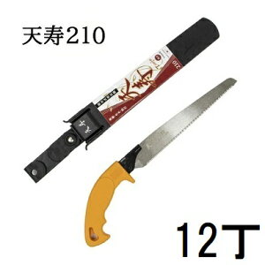 (12Zbg) V  210mm {  0.6mm ֐n苘 Vn{܁@zs