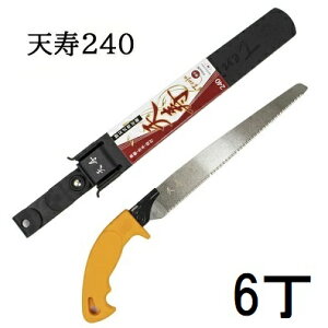 (p6Zbg) V  240mm {  0.6mm ֐n苘 Vn{܁@zs