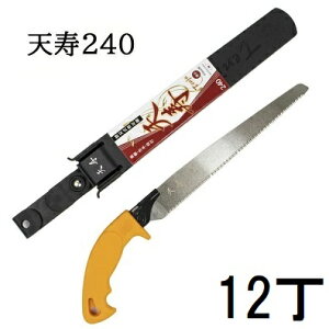 (12Zbg) V  240mm {  0.6mm ֐n苘 Vn{܁@zs