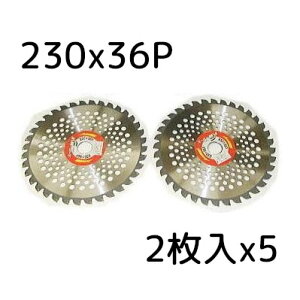 (10Zbg) y @p`bv\[ X[p[JK[ y 230mm×36P 2×5(10g) ACEbh