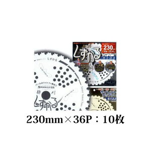 y10Zbgz (ϔ) Jy `bv\[  230mm×36P T-S2009 n TCg`bv\[ Ê ֐m (zmE4)