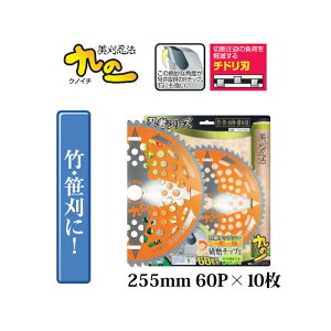 (10Zbg) { p `bv\[ ̈ NmC` 255mm 60P ×10Zbg | p T-N1760 |E ֐m