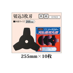 (10Zbg) @pۋn ؍ 3n 255mm KYK3-10 ×10 ֐m
