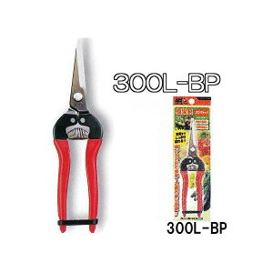 (p10{Zbg) ARS (AX) E O^Cv 300L-BP uX^[pbN@(zmA11j