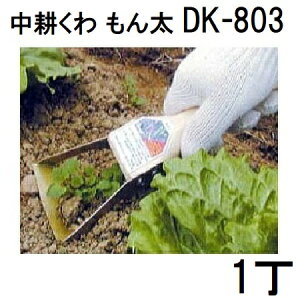 hEJ nƏn ^ k  DK-803 mN kL n (zmB1)