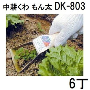 (6Zbg) hEJ nƏn ^ k  DK-803 (^[pbNor쓙)mN kL n (zmB1)