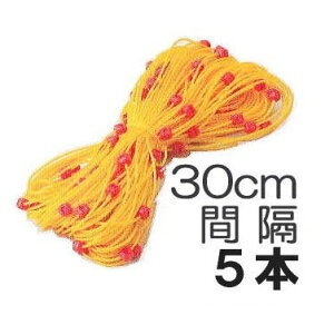 (5{Zbg) 30cmԊu c̐Atڂ邵ʕtЂ ʂgC 30cmԊu×50myЂz[_@ |pi 돤X]