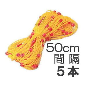 (5{Zbg) 50cmԊu c̐Atڂ邵ʕtЂ ʂgC 50cmԊu×50myЂz[_@ |pi 돤X]