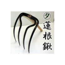 楽天市場】レンコン 鍬の通販