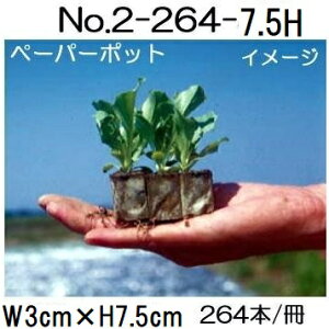 (72) jbe y[p[|bg No.2-264 (7.5H) 264{t XC[gR[EAXpKXEcȂǂ {[ؐ |@lElƎҌ