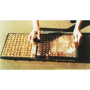 jbe |bgV[_[ MP220-LLlM52-3 dmy[p[|bg ~j|bg K ˂n {[ؐ |@lElƎҌ