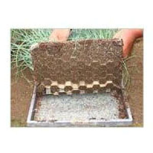 ネトマール2長尺 125cm×50m 1巻 根止用育苗下紙(ペーパーポット チェーンポット) ニッテン ネトマールII長尺 日本甜菜製糖 |法人・個人事業者向け