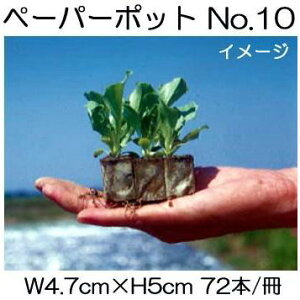 (200) jbe y[p[|bg No.10 72{t ͂ALxcAg}gAイAubR[ {[ؐ |@lElƎҌ