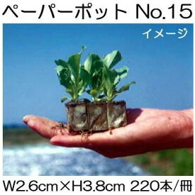 (200冊入) ニッテン ペーパーポット No.15 220本付 レタス、ネギ、ニラ、スイートコーンに 日本甜菜製糖 |法人・個人事業者向け