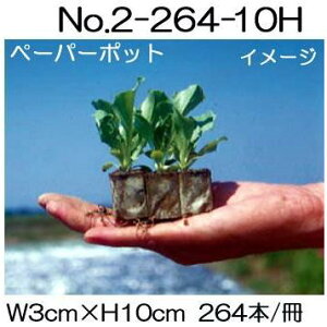 (55) jbe y[p[|bg No.2-264 (10H) 264{t XC[gR[AAXpKXAc ؗނ No.2-264 {[ؐ |@lElƎҌ