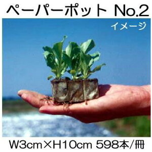 (60) jbe y[p[|bg No.2 598{t XC[gR[AAXpKXAJ[l[V {[ؐ |@lElƎҌ