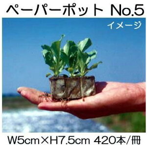 (45) jbe y[p[|bg No.5 420{t GhEA؁A񂬂AJ[l[V {[ؐ |@lElƎҌ