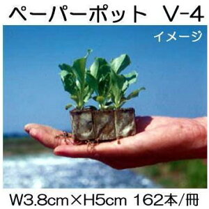 (200) jbe y[p[|bg V-4 162{t ^XAJ[l[VAT_؁A} {[ؐ |@lElƎҌ