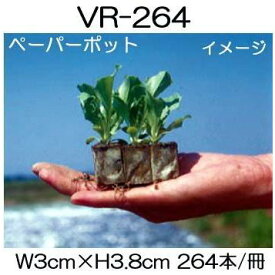 (150冊入) ニッテン ペーパーポット VR-264 264本付 キャベツ、白菜、ネギ、ニラ、レタスに VR264 日本甜菜製糖 |法人・個人事業者向け