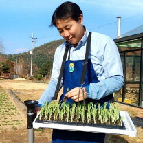 なかよし くん 農業の通販