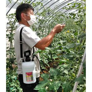 z 2.5L vX`bN^N זt }g_ g}gg[AWxABiCɍœK zs