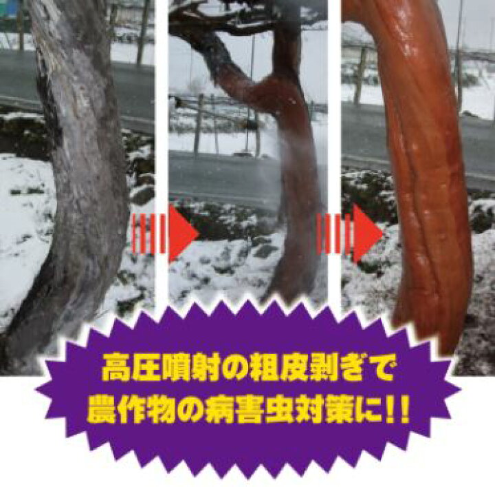 楽天市場】アサバ 高圧洗浄機 エンジンタイプ Powerful15 APW-1510-D 