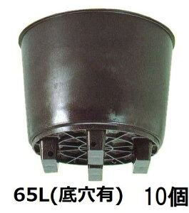 (10個セット) 果樹栽培用大型ポット サンポット 65L 底穴有 サンポリ (法人/個人 選択)