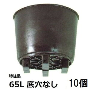 (10Zbg) ʎ͔|p^|bg T|bg 65L ꌊȂ T| (@l/l I)